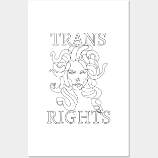 trans rights medusa Posters and Art